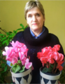 Цикламен